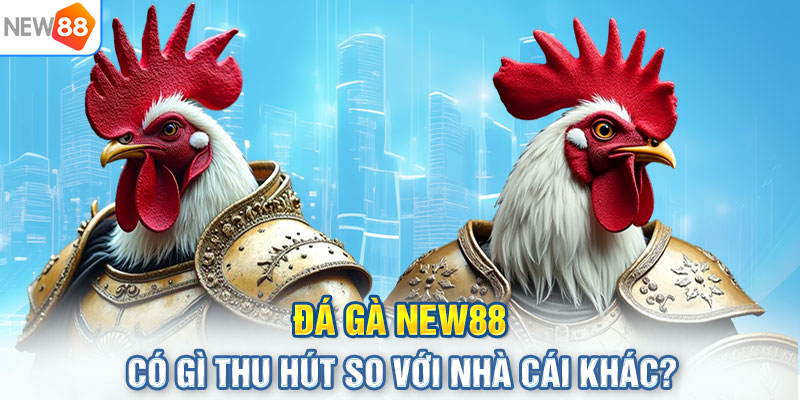 Đá gà NEW88 có gì thu hút so với nhà cái khác?